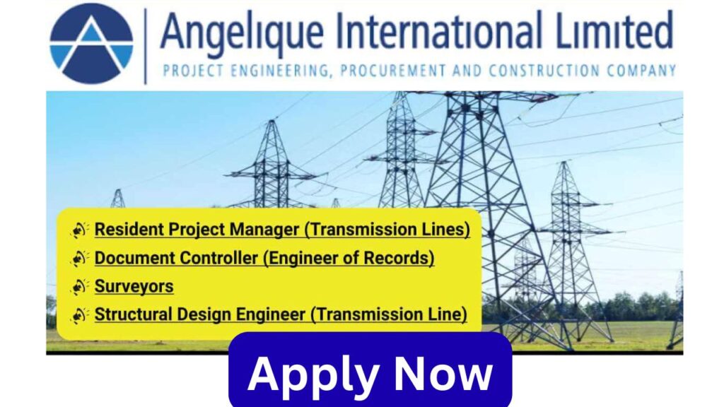 Angelique International Power Transmission Jobs 2025
