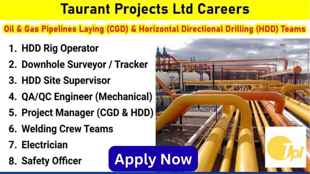 Taurant Projects Ltd Careers 2025